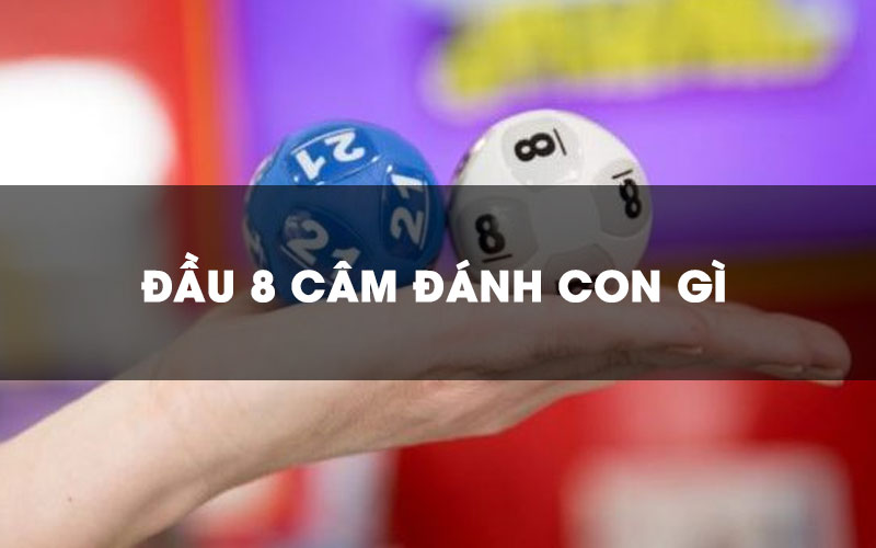 Đầu 8 câm là gì?