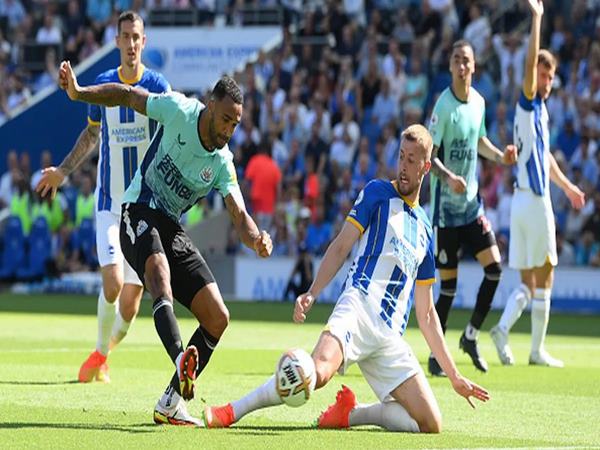 Lịch sử đối đầu giữa Brighton vs Newcastle